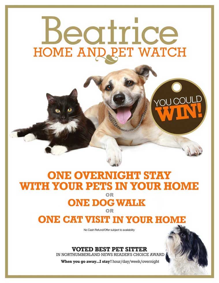 You Could Win One overnight stay with your pets in your home or  Two dog(s) walks  or  Two cat visits in your home